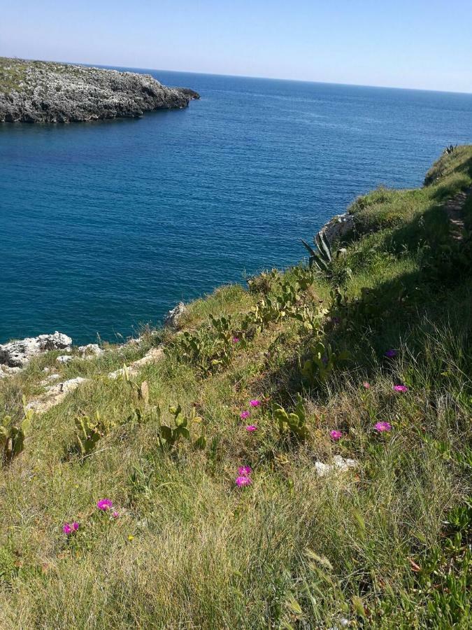 Badisco Vacanze Otranto Ngoại thất bức ảnh